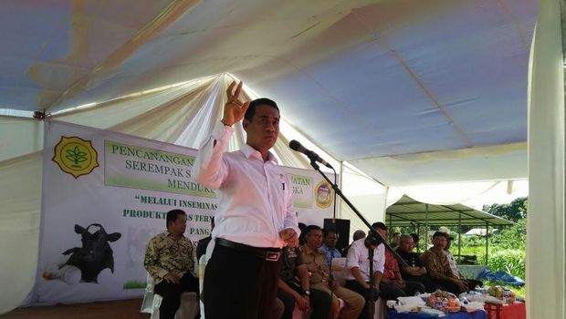 Mentan Blusukan ke Lereng Gunung Salak, Tinjau Pembuntingan Sapi