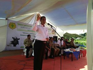 Cerita Mentan Kena Bully Karena Tutup Impor