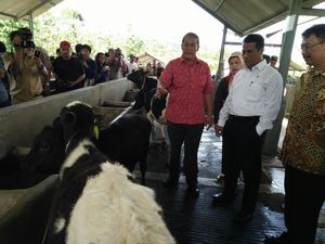 Mentan Heran: RI Ekspor Sperma Sapi, Tapi Dagingnya Impor