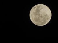 Begini Cantiknya Penampakan Supermoon di Belahan Langit Indonesia