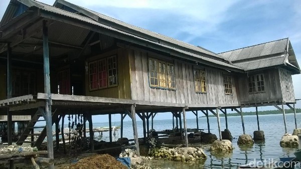 Foto: Pemandangan rumah panggung di pinggir laut menjadi suguhan jika traveler ke sini. Biasanya mereka menjemur hasil tambak rumput laut di bawah rumah mereka (Bona/detikTravel) Foto: Pemandangan rumah panggung di pinggir laut menjadi suguhan jika traveler ke sini. Biasanya mereka menjemur hasil tambak rumput laut di bawah rumah mereka (Bona/detikTravel)