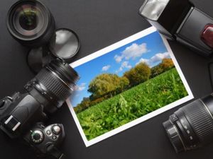 Dicari Fotografer untuk Keliling Dunia, Gajinya Rp 1,4 M