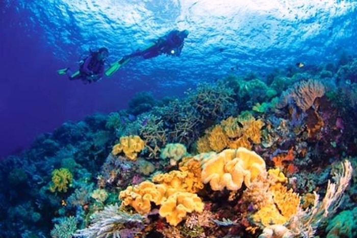 Bali Baru di Sultra Segera Gelar Wakatobi Wave 2016