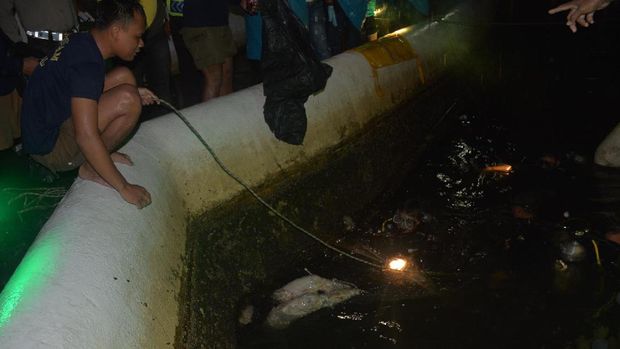 Dilaporkan Hilang 10 Hari, Warga Lebak Banten Ditemukan Tewas di Pantai Ancol