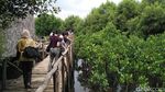 5 Surga Mangrove di Jakarta Cocok buat Melarikan Diri dari Polusi