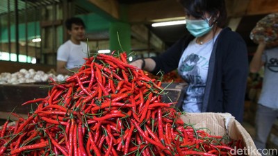 Harga Cabai Merangkak Naik