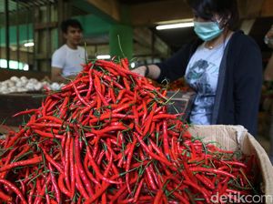 BUMN Ini Ditugaskan untuk Meredam Lonjakan Harga Cabai