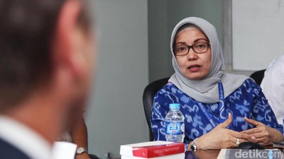 PLN Kembangkan Pembangkit Listrik Tenaga Gas di Daerah