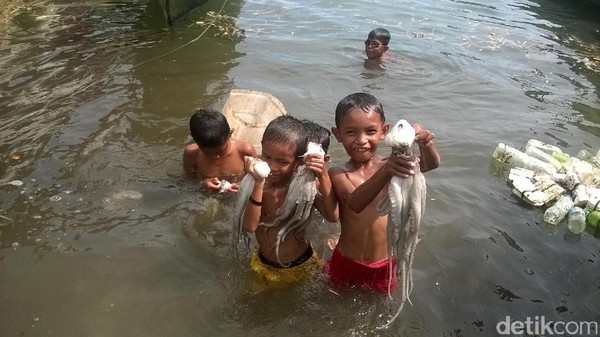 Foto: Selain rumput laut, mereka juga penghasil gurita. Di sini anak-anak kecil bisa menangkap gurita dengan tangan kosong (Bona/detikTravel)