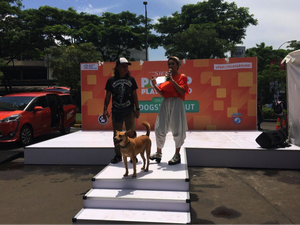 Bagikan Tips untuk Rawat Hewan Kesayangan, Sienta Gelar Unlock Your Dogs Day Out
