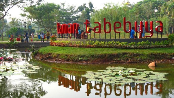 Taman Tabebuya berada di Jagakarsa, Jakarta Selatan. Taman ini asri dan indah, ada kolam teratai dan tempat bersantai. Fitraya Ramadhanny/detikcom