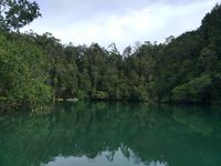 Suasana mistis di Laguna Pulau Gam (Sukma/detikTravel)