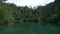 Begitu melewati terowongan karst sepanjang 20 meter, traveler akan langsung sampai di laguna yang suasananya sangat sunyi, bahkan cenderung mistis. Bikin merinding! (Sukma/detikTravel)