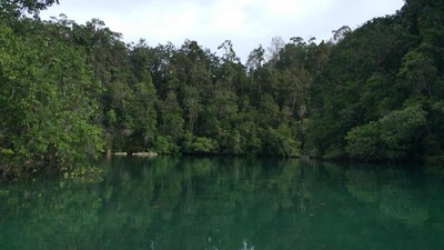 Potret Laguna Misterius Pulau Gam di Raja Ampat