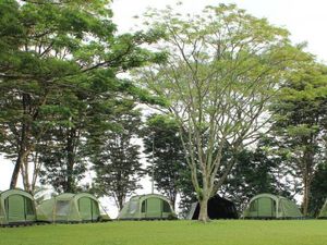 5 Tempat Glamping Subang dengan Pemandangan Alam Indah