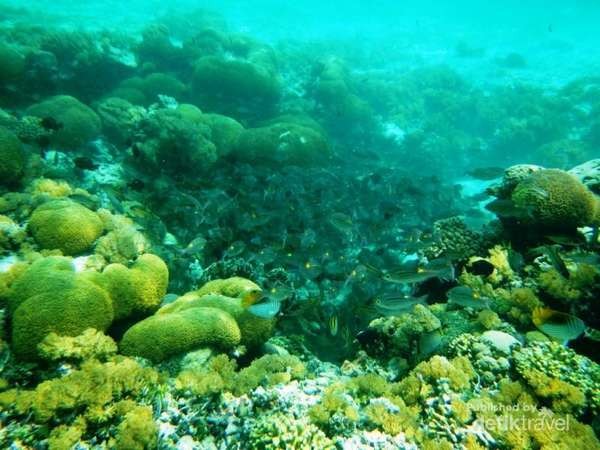 Naik lagi ke atas, daratan Sulawesi ada Takabonerate. Berada di Sulawesi Selatan, inilah atol yang disebut-sebut terbesar ketiga di dunia (Rahmaliza/dTraveler) Naik lagi ke atas, daratan Sulawesi ada Takabonerate. Berada di Sulawesi Selatan, inilah atol yang disebut-sebut terbesar ketiga di dunia (Rahmaliza/dTraveler)