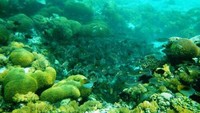 Naik lagi ke atas, daratan Sulawesi ada Takabonerate. Berada di Sulawesi Selatan, inilah atol yang disebut-sebut terbesar ketiga di dunia (Rahmaliza/dTraveler)