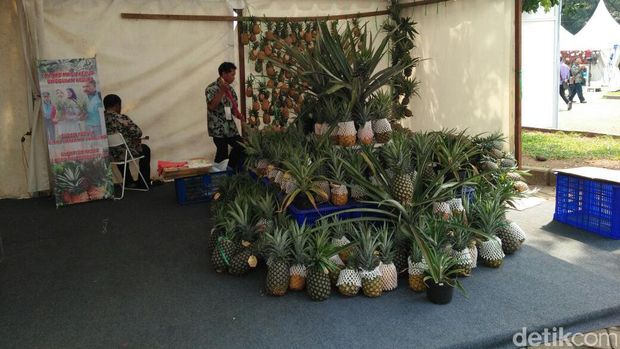 Pameran Buah-buahan di Senayan