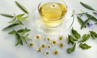 Agar Tak Cepat Pikun, Rajinlah Minum Teh Peppermint
