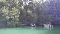 Laguna misterius ini terletak di Pulau Gam, tak jauh dari Waisai, ibukota Kabupaten Raja Ampat. Letaknya cukup tersembunyi, dan tidak sembarangan waktu bisa dikunjungi (Sukma/detikTravel)