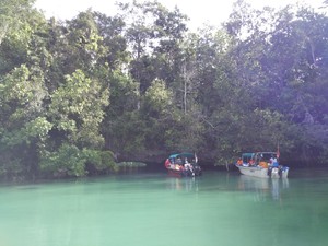 Yang Misterius dari Raja Ampat, Laguna Tersembunyi di Pulau Gam