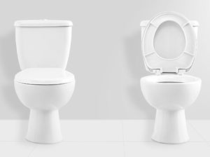 Saat Mudik, Lebih Baik Pilih Toilet Duduk atau Jongkok?