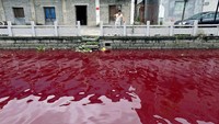 Sebuah sungai di kawasan Wenzhou, Provinsi Zhejiang, mengalami pencemaran yang amat buruk. Terlihat warna air menjadi sangat merah akibat pembuangan limbah ilegal dari perusahaan pewarna makanan, produsen kertas, dan pembuat pakaian. REUTERS/Stringer.