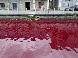 Begini Kondisi Sungai Tercemar di China