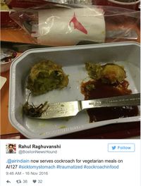 Ada Kecoa Mati di Paket Makanan, Air India Digugat Penumpang