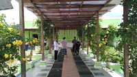 Lorong untuk menuju ke tempat wudlu dihiasi oleh tanaman merambat dengan bunga berwarna kuning. Sejuk rasanya melihat yang hijau-hijau seperti ini sebelum Salat Jumat (Wahyu/detikTravel)