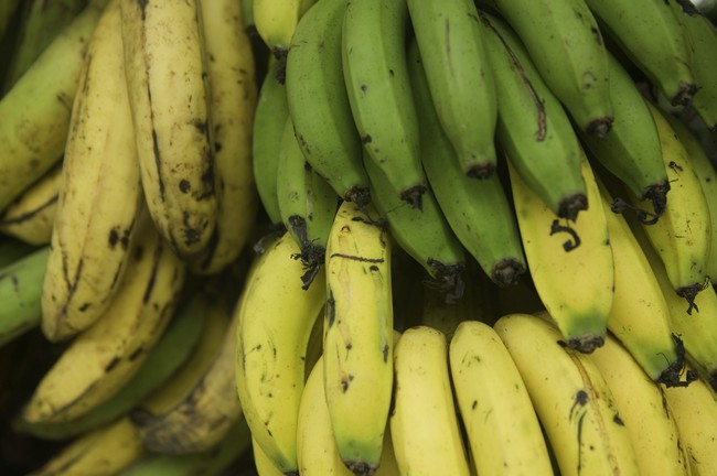 Benarkah Pisang Bisa Obati Sakit Kepala dan Putihkan Gigi? (2)