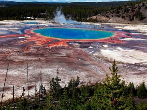 Fakta Menarik di Balik Taman Nasional Yellowstone AS