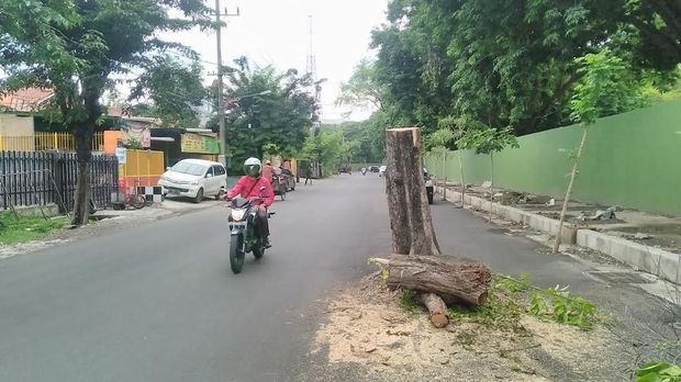 Polisi Pasang Separator di Pohon 'Maut' di Jalan Setail