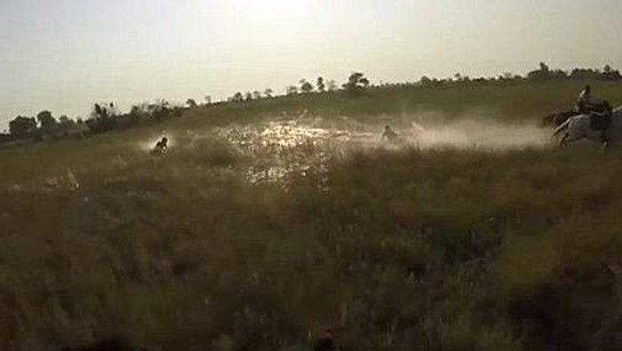 Jatuh dari Kuda, Traveler Berhadapan Langsung dengan Singa di Botswana