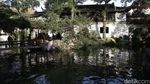 Ternyata China Punya Taman Bunga Secantik Ini