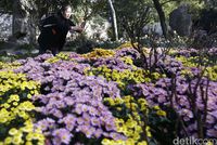 Keindahan Lingering Garden (Agung/detikTravel)