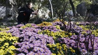 Taman ini memiliki bangunan dan kuil-kuil yang membaur harmonis dengan pohon-pohon dan bunga di sekitarnya. Pembangunan taman ini memang dimulai pada era Dinasti Ming, namun kemudian dibangun kembali oleh pejabat di masa pemerintahan dinasti Qing (Agung/detikTravel)