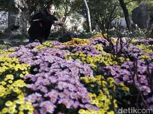 Wonderful Indonesia Siap Tebar Pesona di Festival Musim Semi China