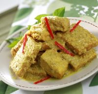 Gurih Berkuah Kental, Terik Tempe dan Daging Khas Jawa Tengah