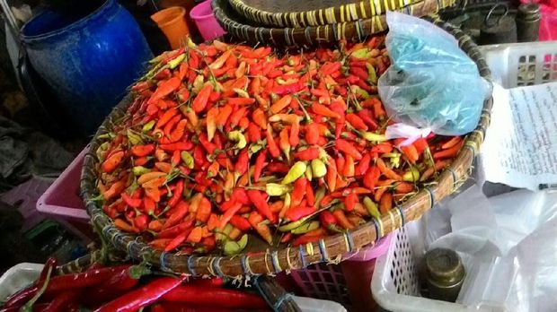 Musim Hujan, Harga Cabai Meroket Rp 60.000/Kg