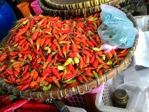 Cabai Tembus Rp 120.000/Kg, Mentan: Distribusi Kita Perbaiki