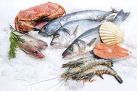 Cegah Terpapar Racun dari Ikan, Kini Ada Kalkulator Polutan