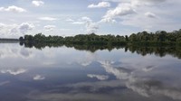 Satu cerita lagi menyebutkan nama danaunya adalah Danau Dam Tak Sudah, bukan Dendam Tak Sudah. Konon ceritanya penjajah kolonial ingin membangun dam atau bendungan, tapi tidak pernah sampai selesai (Fitraya/detikTravel)