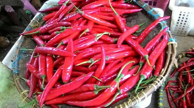 Musim Hujan, Harga Cabai Meroket Rp 60.000/Kg