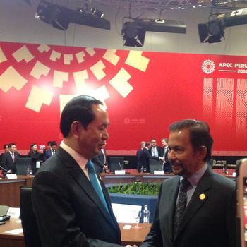 Negara-negara APEC Optimistis Kebijakan AS Tak Bakal Banyak Diubah Trump