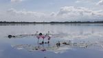 Danau yang Memendam Dendam di Bengkulu