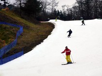 Hokkaido Catat Rekor Salju, Hampir 90% Pemain Ski Hilang