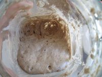 Di Swedia Ada Hotel Khusus untuk Penitipan Biang Roti