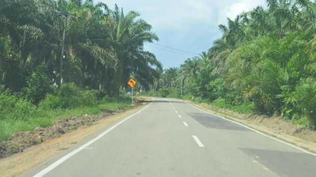Pembangunan Jalan Akses Perbatasan Menuju Entikong Capai 25%