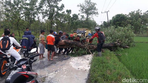 103 Rumah di Bojonegoro Diterjang Puting Beliung